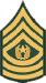 Army Command Sergeant Major Rank Insignia