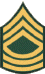 Army Master Sergeant Rank Insignia