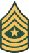 Army Sergeant Major Rank Insignia