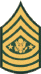 Army Sergeant Major of the Army Rank Insignia
